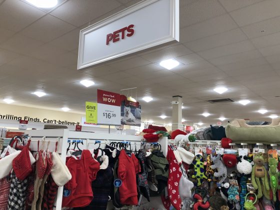 produtos para pets em Orlando