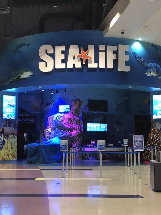 SeaLife Aquarium - Icon Park