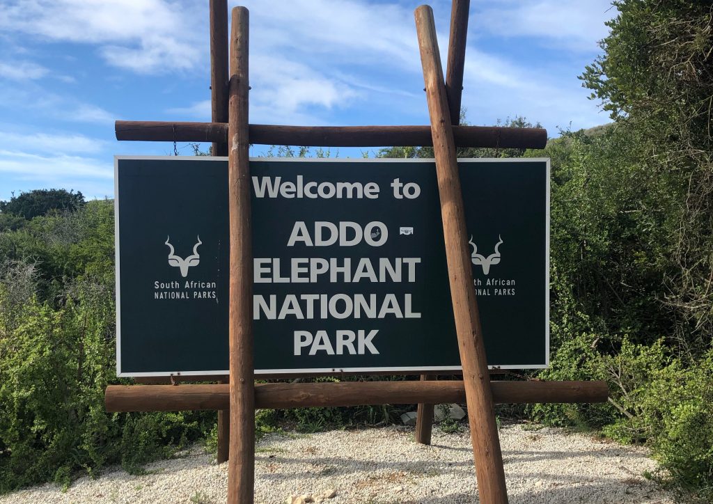 Garden Route - Addo Elephant National Park