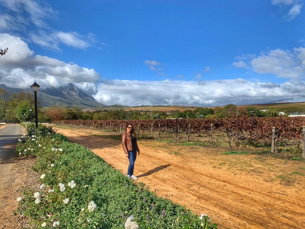 Melhores vinícolas da África do Sul